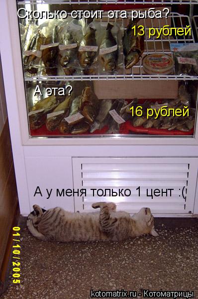 Сколько стоит эта рыба? 13 рублей А эта? 16 рублей А у меня только 1 цент :(... Котоматрица: Сколько стоит эта рыба? 13 рублей А эта? 16 рублей А у меня только 1 цент :(