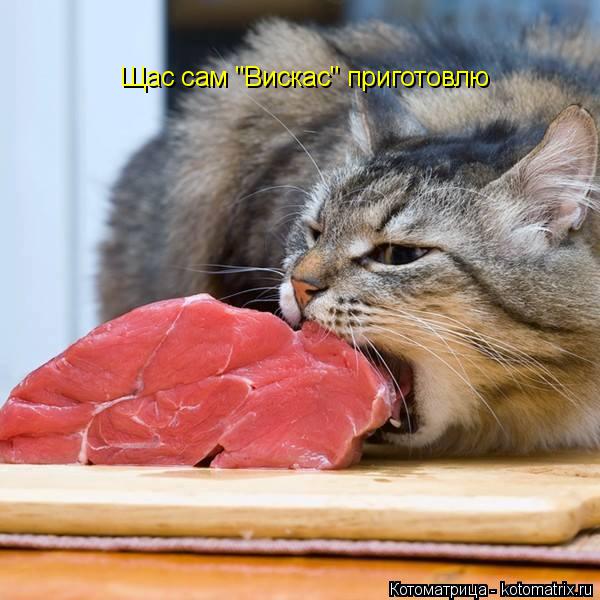 Щас сам "Вискас" приготовлю... Котоматрица: Щас сам "Вискас" приготовлю