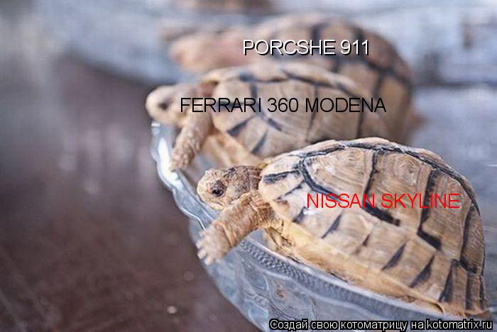 Котоматрица: NISSAN SKYLINE FERRARI 360 MODENA PORCSHE 911