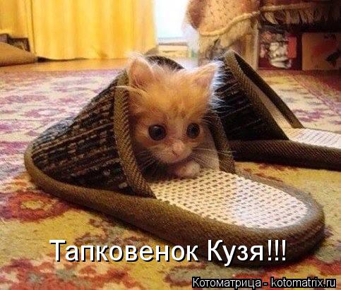 Тапковенок Кузя!!!... Котоматрица: Тапковенок Кузя!!!