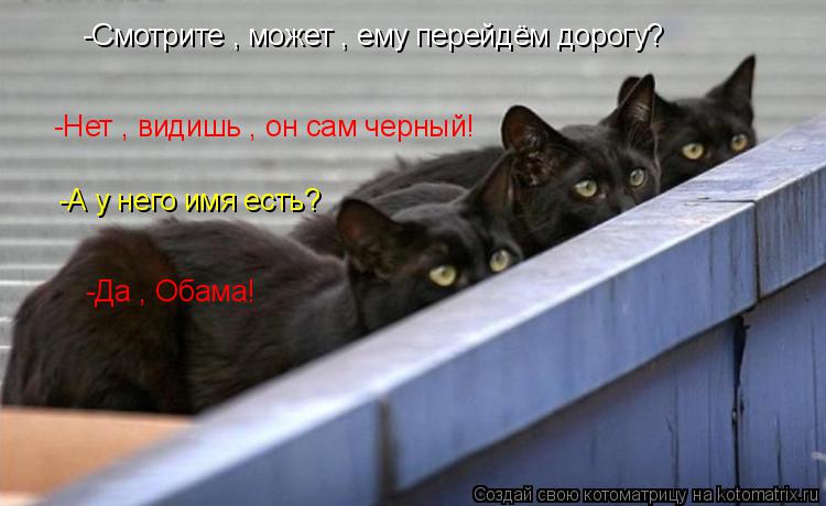 Котоматрица: -Смотрите , может , ему перейдём дорогу? -Нет , видишь , он сам черный! -А у него имя есть? -Да , Обама!