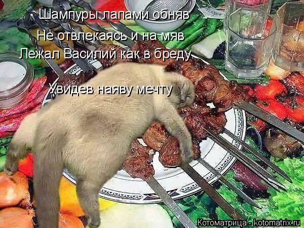 Котоматрица: Шампуры лапами обняв Не отвлекаясь и на мяв Лежал Василий как в бреду Увидев наяву мечту