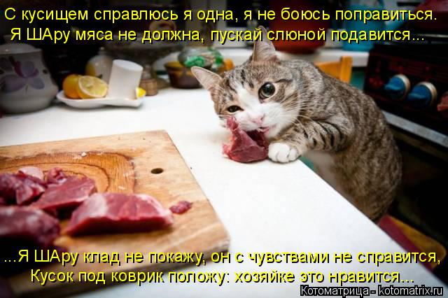 С кусищем справлюсь я одна, я не боюсь поправиться. Я ШАру мяса не должна, пускай слюной подавится...... Котоматрица: С кусищем справлюсь я одна, я не боюсь поправиться. Я ШАру мяса не должна, пускай слюной подавится... ...Я ШАру клад не покажу, он с чувствами не