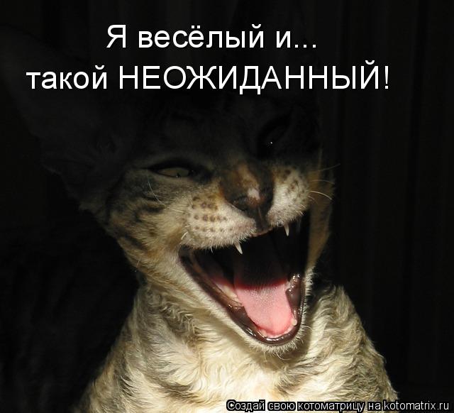 Котоматрица: Я весёлый и... такой НЕОЖИДАННЫЙ!