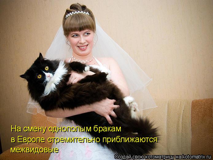 Котоматрица: На смену однополым бракам в Европе стремительно приближаются межвидовые