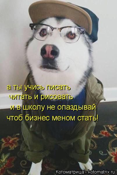 Котоматрица: а ты учись писать читать и рисовать и в школу не опаздывай чтоб бизнес меном стать!