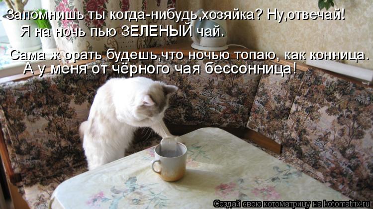 Запомнишь ты когда-нибудь,хозяйка? Ну,отвечай! Я на ночь пью ЗЕЛЕНЫЙ чай. Сама ж орать будешь,что ноч... Котоматрица: Запомнишь ты когда-нибудь,хозяйка? Ну,отвечай! Я на ночь пью ЗЕЛЕНЫЙ чай. Сама ж орать будешь,что ночью топаю, как конница. А у меня от чёрного