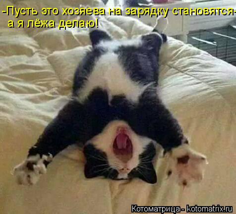 -Пусть это хозяева на зарядку становятся- а я лёжа делаю!... Котоматрица: -Пусть это хозяева на зарядку становятся- а я лёжа делаю!