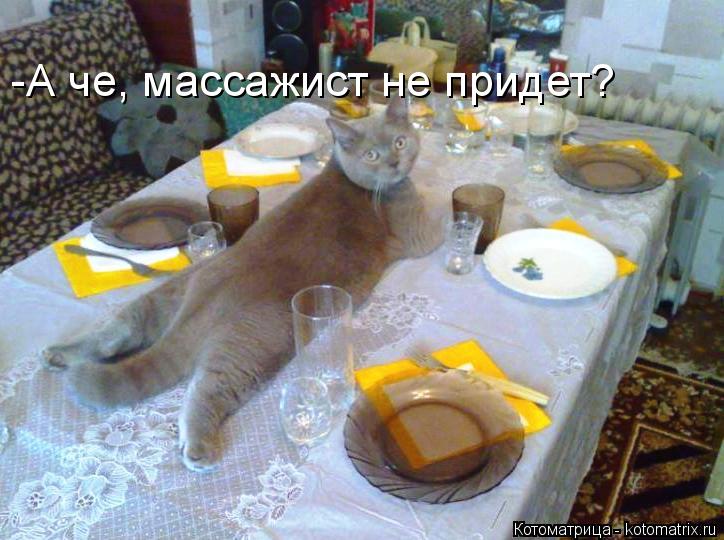 -А че, массажист не придет?... Котоматрица: -А че, массажист не придет?