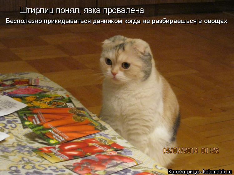 Штирлиц понял, явка провалена Бесполезно прикидываться дачником когда не разбираешься в овощах... Котоматрица: Штирлиц понял, явка провалена Бесполезно прикидываться дачником когда не разбираешься в овощах