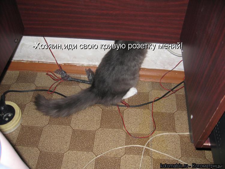 -Хозяин,иди свою кривую розетку меняй!... Котоматрица: -Хозяин,иди свою кривую розетку меняй!