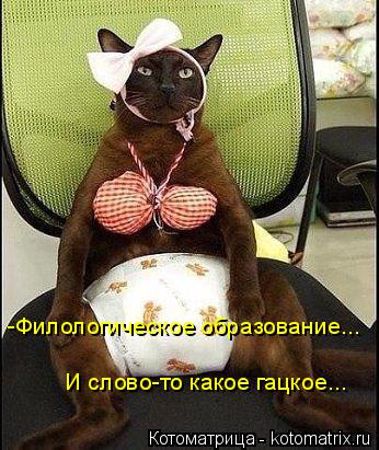-Филологическое образование... И слово-то какое гацкое...... Котоматрица: -Филологическое образование... И слово-то какое гацкое...
