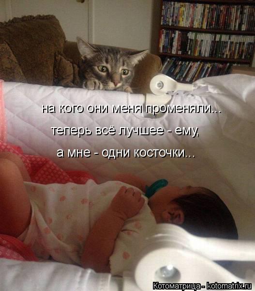 на кого они меня променяли... теперь всё лучшее - ему, а мне - одни косточки...... Котоматрица: на кого они меня променяли... теперь всё лучшее - ему, а мне - одни косточки...