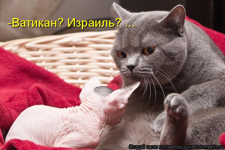 -Ватикан? Израиль? ...... Котоматрица: -Ватикан? Израиль? ...