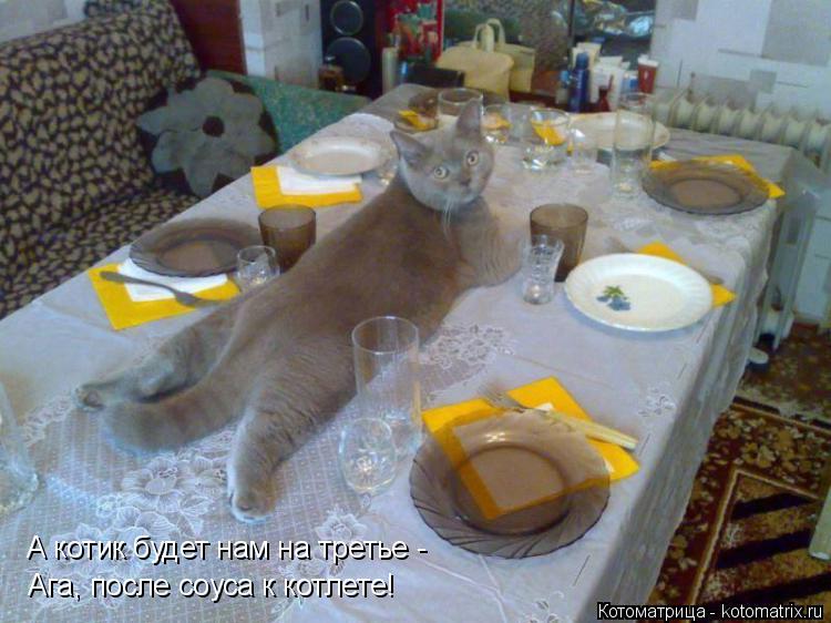 А котик будет нам на третье - Ага, после соуса к котлете!... Котоматрица: А котик будет нам на третье - Ага, после соуса к котлете!