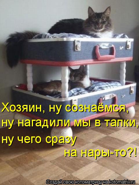 Хозяин, ну сознаёмся, ну нагадили мы в тапки, ну чего сразу на нары-то?!... Котоматрица: Хозяин, ну сознаёмся, ну нагадили мы в тапки, ну чего сразу на нары-то?!
