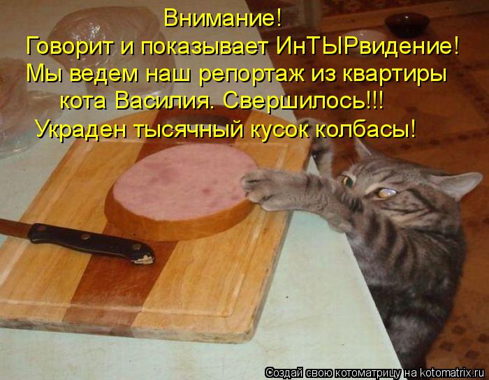 Внимание! Говорит и показывает ИнТЫРвидение! Мы ведем наш репортаж из квартиры кота Василия. Сверши... Котоматрица: Внимание! Говорит и показывает ИнТЫРвидение! Мы ведем наш репортаж из квартиры кота Василия. Свершилось!!! Украден тысячный кусок колбасы!