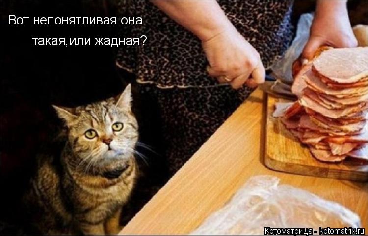 Вот непонятливая она такая,или жадная?... Котоматрица: Вот непонятливая она такая,или жадная?