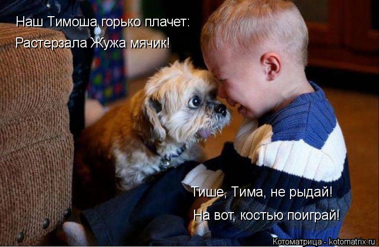 Тише, Тима, не рыдай! На вот, костью поиграй! Растерзала Жужа мячик! Наш Тимоша горько плачет:... Котоматрица: Тише, Тима, не рыдай! На вот, костью поиграй! Растерзала Жужа мячик! Наш Тимоша горько плачет: