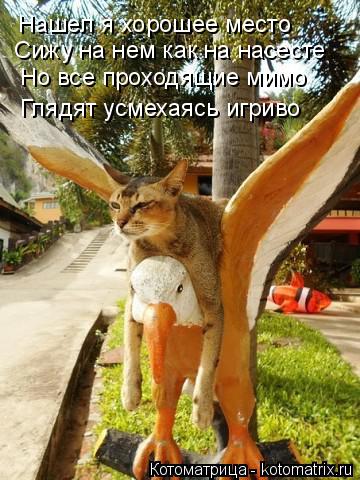 Сижу на нем как на насесте Но все проходящие мимо Глядят усмехаясь игриво Нашел я хорошее место... Котоматрица: Сижу на нем как на насесте Но все проходящие мимо Глядят усмехаясь игриво Нашел я хорошее место
