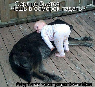 Сердце бьётся Чёшь в обморок падать?... Котоматрица: Сердце бьётся Чёшь в обморок падать?