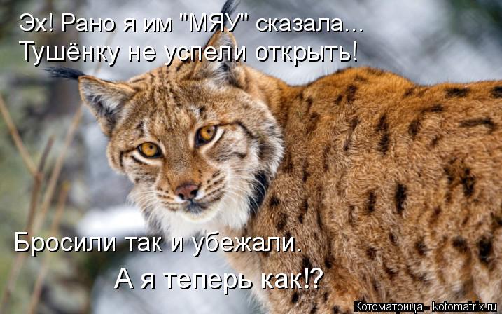 Эх! Рано я им "МЯУ" сказала... Тушёнку не успели открыть! Бросили так и убежали. А я теперь как!?... Котоматрица: Эх! Рано я им "МЯУ" сказала... Тушёнку не успели открыть! Бросили так и убежали. А я теперь как!?