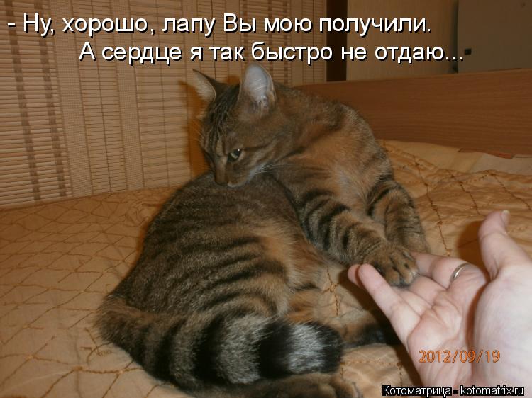- Ну, хорошо, лапу Вы мою получили. А сердце я так быстро не отдаю...... Котоматрица: - Ну, хорошо, лапу Вы мою получили. А сердце я так быстро не отдаю...