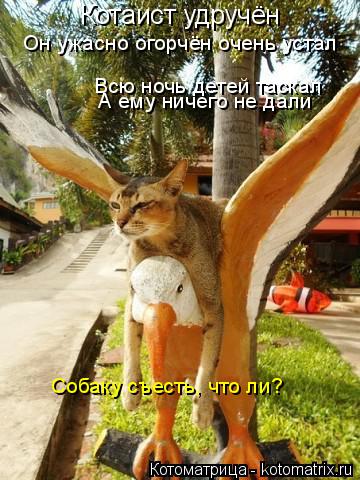 Котаист удручён Всю ночь детей таскал А ему ничего не дали Он ужасно огорчён очень устал Собаку съест... Котоматрица: Котаист удручён Всю ночь детей таскал А ему ничего не дали Он ужасно огорчён очень устал Собаку съесть, что ли?