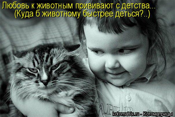 Любовь к животным прививают с детства... (Куда б животному быстрее деться?..)... Котоматрица: Любовь к животным прививают с детства... (Куда б животному быстрее деться?..)