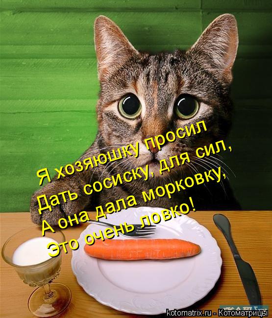 Котоматрица: Я хозяюшку просил Дать сосиску, для сил, А она дала морковку, Это очень ловко!