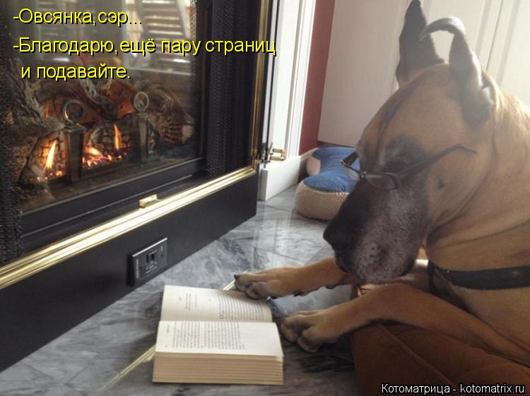 Котоматрица: -Овсянка,сэр... -Благодарю,ещё пару страниц и подавайте.