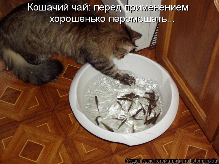 Котоматрица: Кошачий чай: перед применением хорошенько перемешать...