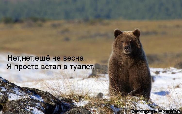 Нет,нет,ещё не весна. Я просто встал в туалет.... Котоматрица: Нет,нет,ещё не весна. Я просто встал в туалет.