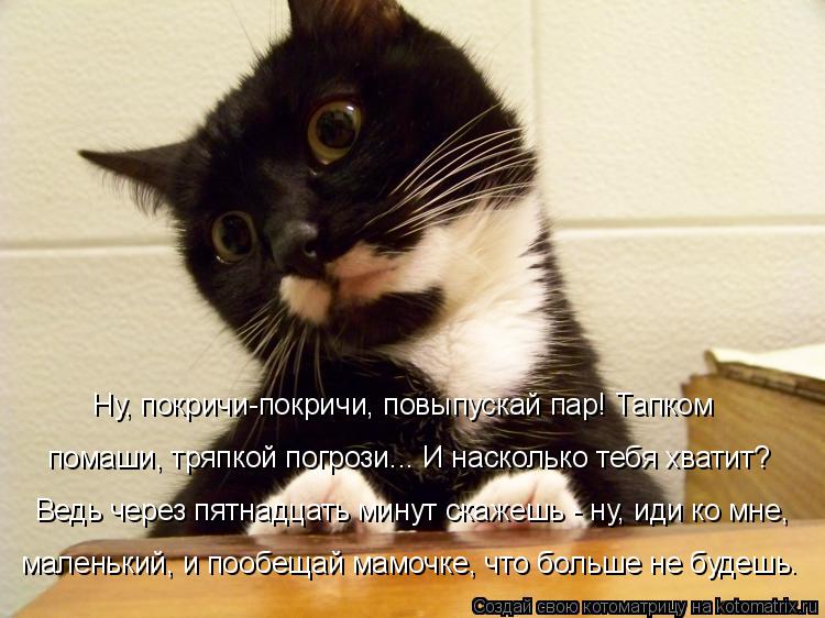 Ведь через пятнадцать минут скажешь - ну, иди ко мне, Ну, покричи-покричи, повыпускай пар! Тапком мал... Котоматрица: Ведь через пятнадцать минут скажешь - ну, иди ко мне, Ну, покричи-покричи, повыпускай пар! Тапком маленький, и пообещай мамочке, что больше не