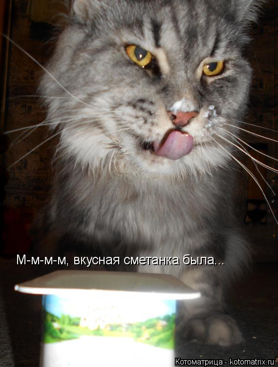 М-м-м-м, вкусная сметанка была...... Котоматрица: М-м-м-м, вкусная сметанка была...