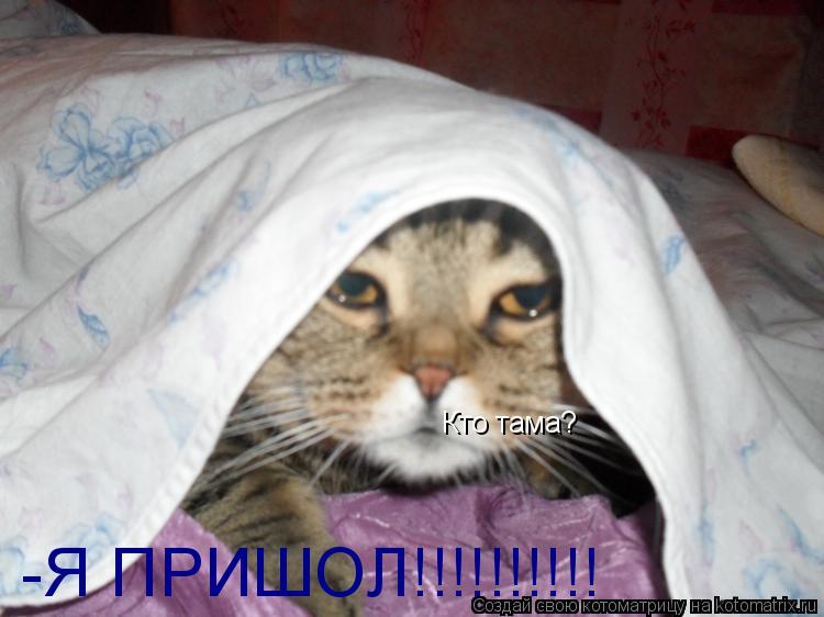 Котоматрица: Кто тама? -Я ПРИШОЛ!!!!!!!!!!