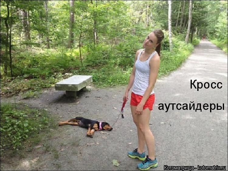 Котоматрица: Кросс аутсайдеры