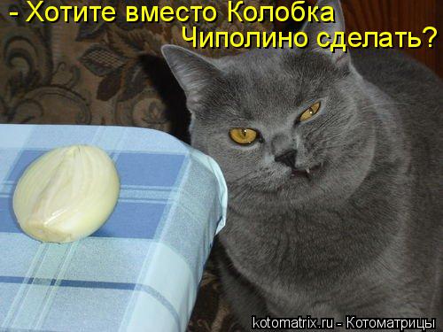 - Хотите вместо Колобка Чиполино сделать?... Котоматрица: - Хотите вместо Колобка Чиполино сделать?