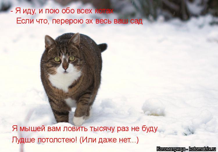 - Я иду, и пою обо всех котах Если что, перерою эх весь ваш сад Я мышей вам ловить тысячу раз не буду... Котоматрица: - Я иду, и пою обо всех котах Если что, перерою эх весь ваш сад Я мышей вам ловить тысячу раз не буду Лудше потолстею! (Или даже нет...)