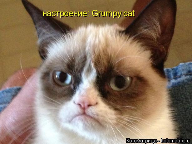 настроение: Grumpy cat... Котоматрица: настроение: Grumpy cat