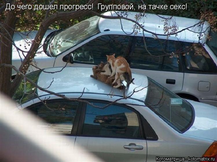 Котоматрица: До чего дошел прогресс! Групповой, на тачке секс!