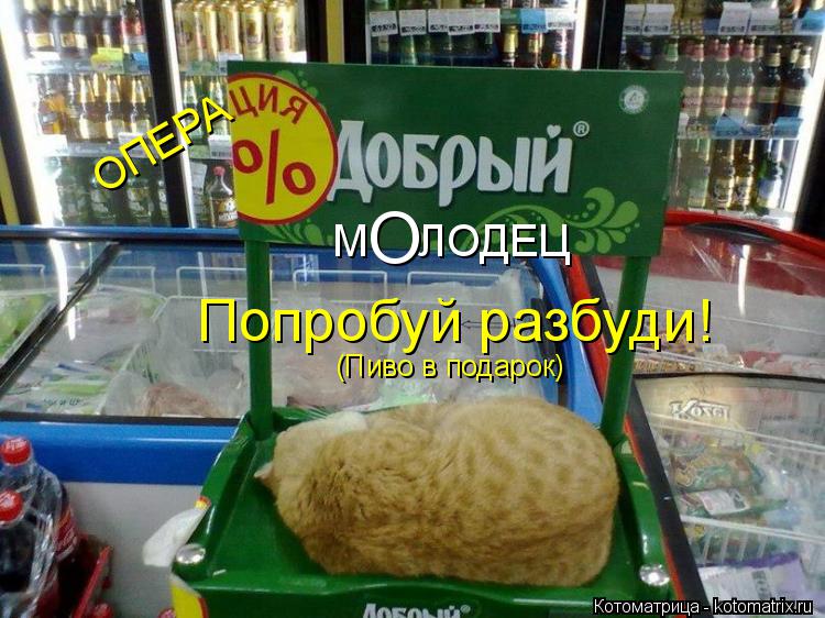 М ЛОДЕЦ О (Пиво в подарок) ОПЕРА Попробуй разбуди!... Котоматрица: М ЛОДЕЦ О (Пиво в подарок) ОПЕРА Попробуй разбуди!