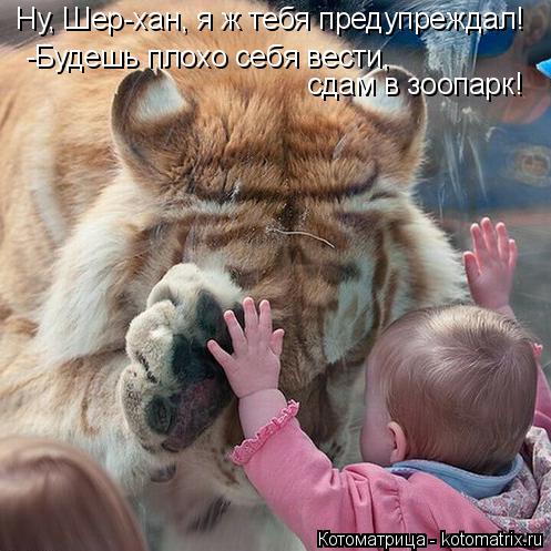 Котоматрица: Ну, Шер-хан, я ж тебя предупреждал! -Будешь плохо себя вести, сдам в зоопарк!