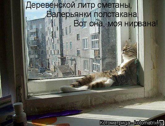 Деревенской литр сметаны, Валерьянки полстакана, Вот она, моя нирвана!... Котоматрица: Деревенской литр сметаны, Валерьянки полстакана, Вот она, моя нирвана!
