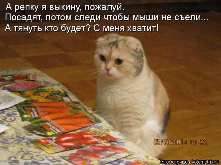 А репку я выкину, пожалуй. Посадят, потом следи чтобы мыши не съели... А тянуть кто будет? С меня хва... Котоматрица: А репку я выкину, пожалуй. Посадят, потом следи чтобы мыши не съели... А тянуть кто будет? С меня хватит!