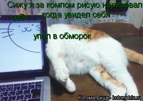 Сижу я за компом рисую нарисовал себя себя когда увидел себя упал в обморок... Котоматрица: Сижу я за компом рисую нарисовал себя себя когда увидел себя упал в обморок