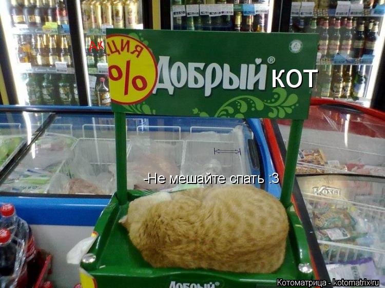 Ак кот -Не мешайте спать :3... Котоматрица: Ак кот -Не мешайте спать :3