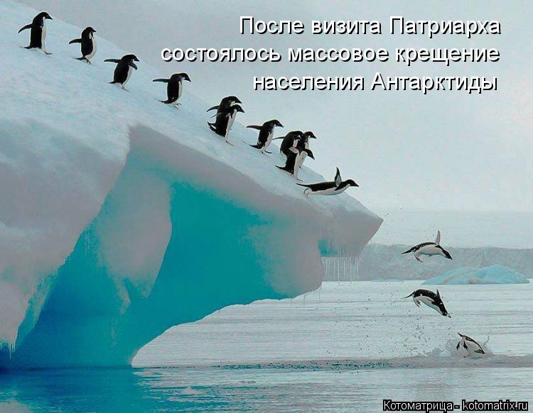 После визита Патриарха состоялось массовое крещение населения Антарктиды... Котоматрица: После визита Патриарха состоялось массовое крещение населения Антарктиды