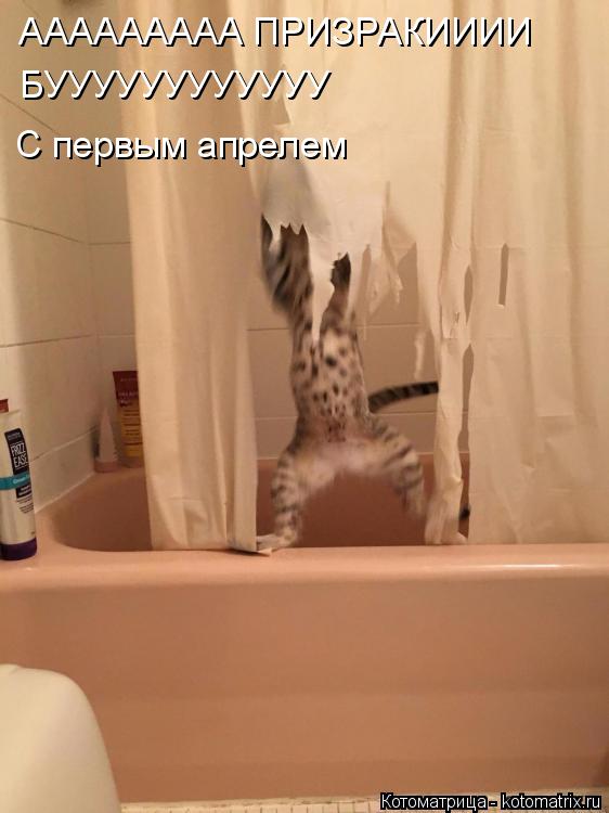 ААААААААА ПРИЗРАКИИИИ БУУУУУУУУУУУУ С первым апрелем... Котоматрица: ААААААААА ПРИЗРАКИИИИ БУУУУУУУУУУУУ С первым апрелем