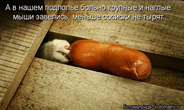 А в нашем подполье больно крупные и наглые мыши завелись, меньше сосиски не тырят....... Котоматрица: А в нашем подполье больно крупные и наглые мыши завелись, меньше сосиски не тырят....